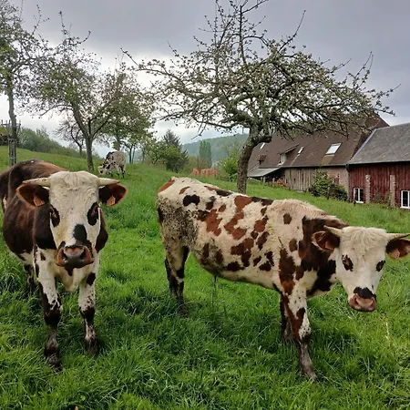 Les Prés Rousselins En Pays D'auge 3* Courtonne-la-Meurdrac