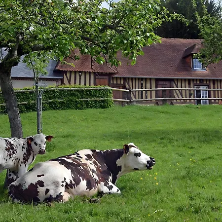 Les Prés Rousselins En Pays D'auge 3* Courtonne-la-Meurdrac