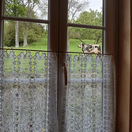 Bed & Breakfast Les Prés Rousselins En Pays D'auge
